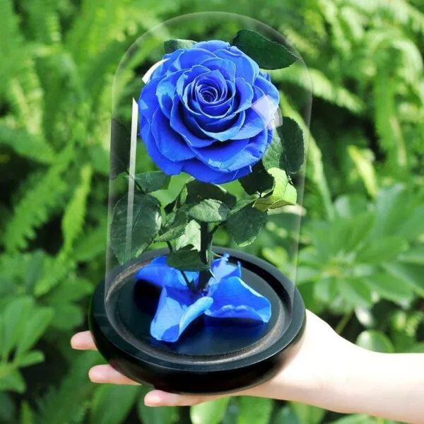 blue preserved rose