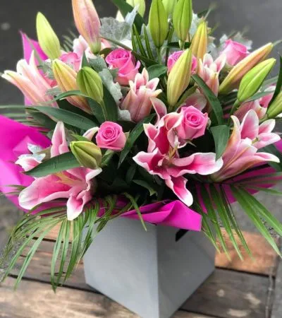 Tranquil Tulip Terrace