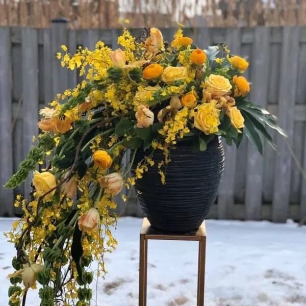 Radiant Rose Revival